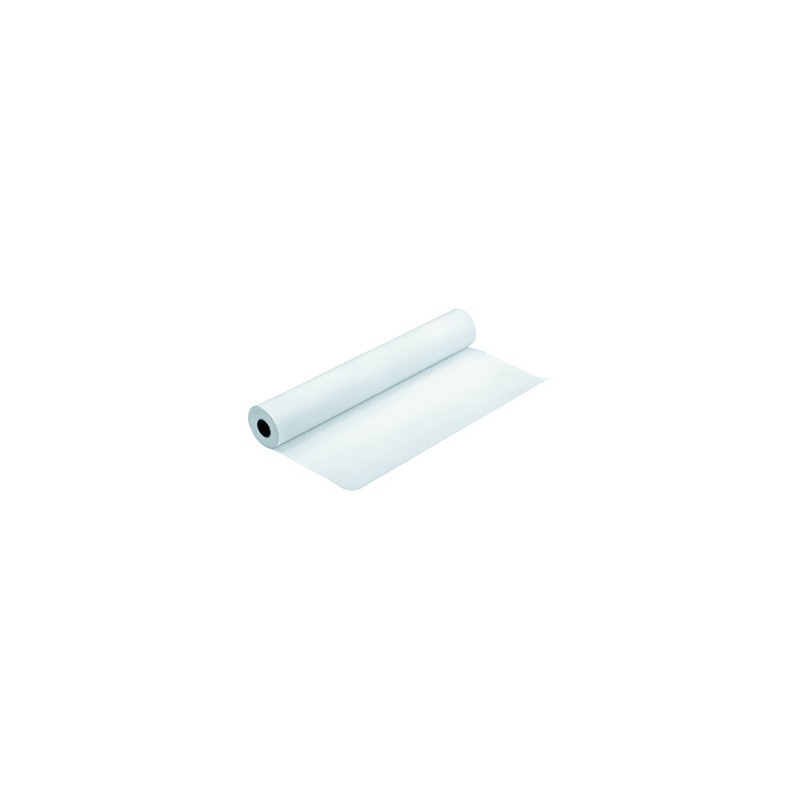Epson 1118/25/Presentation Matte Paper Roll, matowy, 44", C13S041220, 172 g/m2, papier, 1118mmx25m, biały, do drukarek atramento