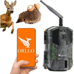 Fotopułapka GSM ORLLO...
