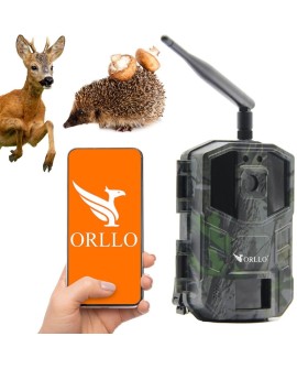 Fotopułapka GSM ORLLO Huntercam 3