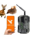 Fotopułapka GSM ORLLO Huntercam 3