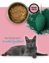 3Coty TURKEY with Spirulina for Adult cats 80g