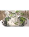 Philips Seria 5000 HR2500 Eco Conscio Rozdrabniacz