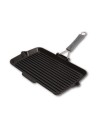 Staub Grill