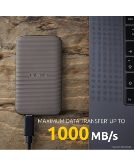 Intenso Lesen/Schreiben bis zu 1000 MB/s/500GB USB Type-C 3.2 Gen 2 (3.1 Gen 2) Brązowy