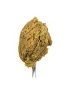 3Coty CHICKEN with Spirulina for Baby Kittens and Feeding Mother Cats 80g