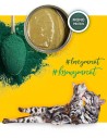 3Coty CHICKEN with Spirulina for Baby Kittens and Feeding Mother Cats 80g