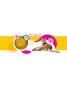 3Coty CHICKEN Cheers! Complementary feed for cats 75g