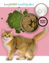 3Coty TURKEY with Chlorella Weight Control for Sterilised and Overweight cats 80g