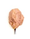 3Coty CHICKEN + DUCK for Kittens 80g