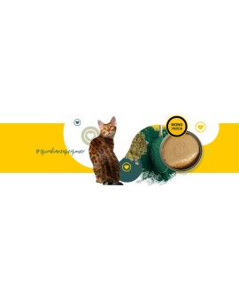 3Coty CHICKEN with Spirulina for Senior Cats 80g
