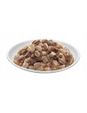 PREVITAL saszetki dla kota mix smaków box 40x100g