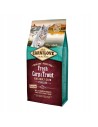 CARNILOVE CAT FRESH CARP&TROUT STERILISED 6kg