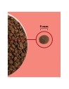 ACANA Highest Protein Indoor Cat 4,5kg