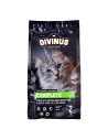 Divinus Cat Complete dla kotów dorosłych 2kg (WYPRZEDAŻ)