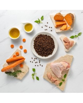 VetExpert Raw Paleo Ultra Indyk Mini Puppy 2kg (WYPRZEDAŻ)