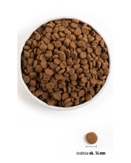ORIJEN Senior Dog 11.4kg
