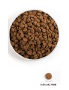 ORIJEN Senior Dog 11.4kg