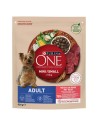 PURINA One Mini Adult Wołowina, ryż - sucha karma dla psa - 800 g