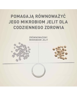 PURINA One Mini Adult Wołowina, ryż - sucha karma dla psa - 800 g