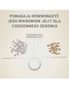 PURINA One Mini Adult Wołowina, ryż - sucha karma dla psa - 800 g