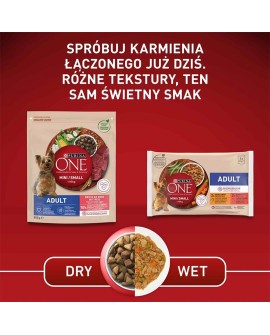 PURINA One Mini Adult Wołowina, ryż - sucha karma dla psa - 800 g