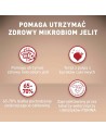 PURINA One Mini Adult Wołowina, ryż - sucha karma dla psa - 800 g