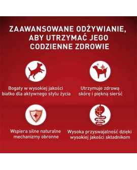 PURINA One Mini Adult Wołowina, ryż - sucha karma dla psa - 800 g