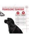 ROYAL CANIN Immunity&Digestion Supplements 100g