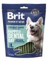 BRIT PREMIUM DOG SNACK DENTAL L