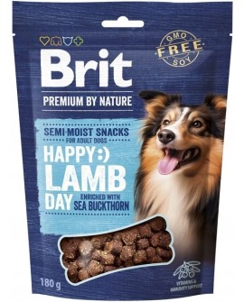BRIT PREMIUM DOG SNACK LAMB WITH SEABUCKTHORN 180g