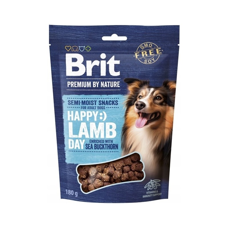 BRIT PREMIUM DOG SNACK LAMB WITH SEABUCKTHORN 180g