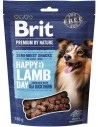 BRIT PREMIUM DOG SNACK LAMB WITH SEABUCKTHORN 180g