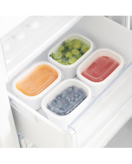 Rotho Freeze zestaw pojemników do mrożenia 4 x 0,75l