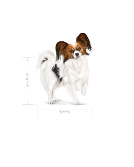 Royal Canin SHN Xsmall Adult 3kg