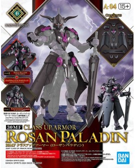 30MF CLASS UP ARMOR (ROSAN PALADIN)