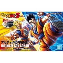 FIGURE RISE DBZ ULTIMATE...