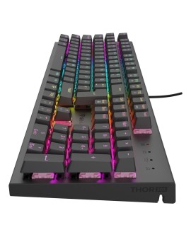 GENESIS NKG-2179 klawiatura Gaming USB QWERTZ Niemiecki Czarny