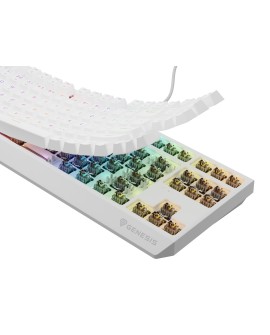 GENESIS Thor 230 TKL klawiatura USB + RF QWERTY