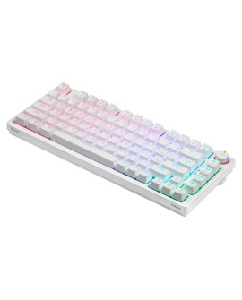 SAVIO KLAWIATURA MECHANICZNA BEZPRZEWODOWA PHENIX WHITE GATERON RED PRO ABS