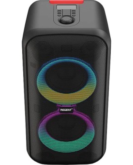 REGENT FERGUSON GŁOŚNIK PARTY 400BT POWER AUDIO