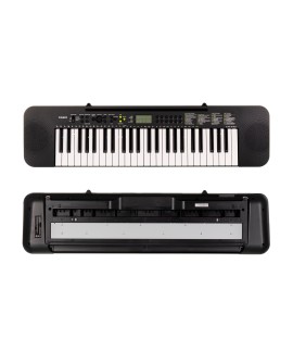 CASIO CTK-240 - Keyboard