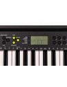 CASIO CTK-240 - Keyboard
