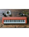 CASIO CT-S1 RD - Keyboard