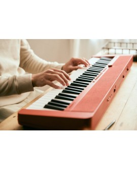 CASIO CT-S1 RD - Keyboard