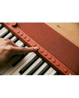 CASIO CT-S1 RD - Keyboard