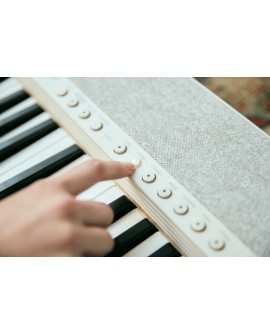 CASIO CT-S1 WE - Keyboard
