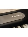 CASIO LK-S450 - Keyboard