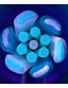 Oral-B iO Ultimate Clean 4 szt. Biały