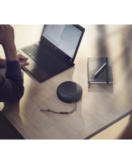 Bang & Olufsen BeoPlay A1 2nd Edition Głośnik przenośny bezprzewodowy Bluetooth 60 Watt dwukierunkowy Antracyt