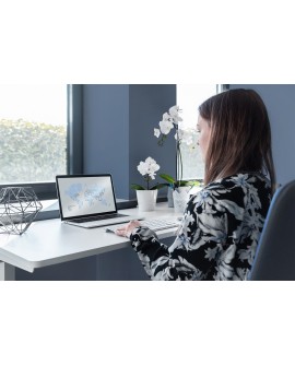 Digitus Biurko z elektryczną regulacją wysokości